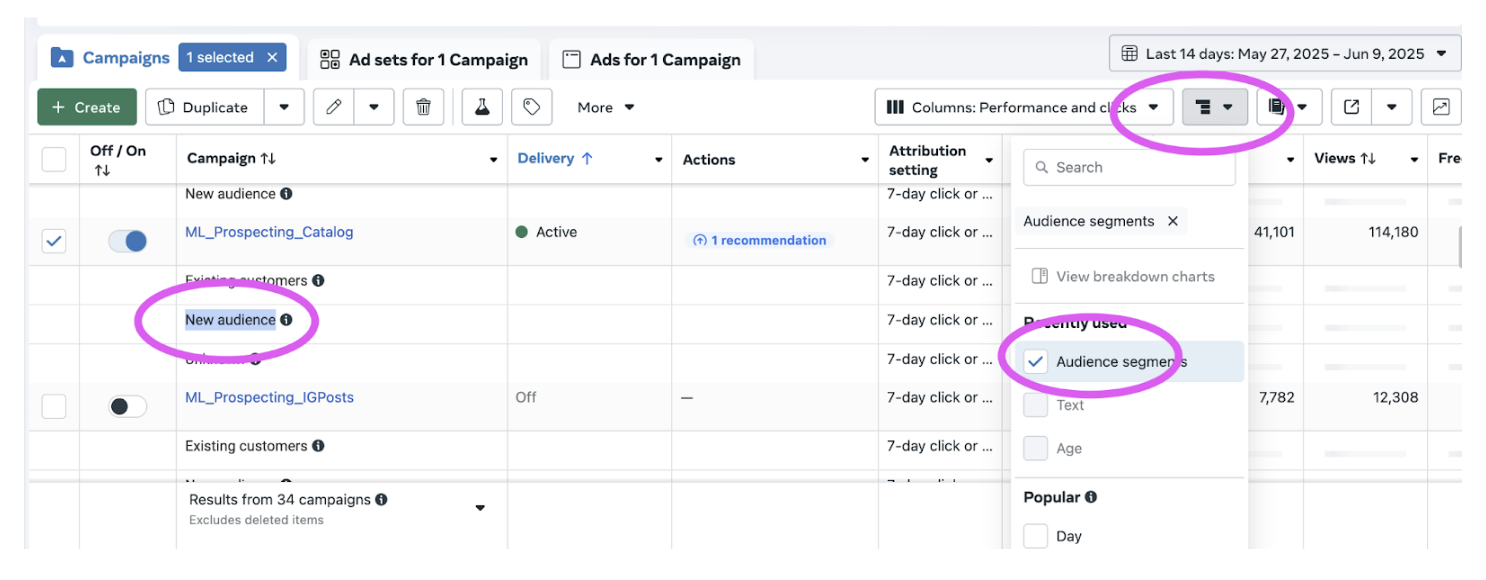 Segments d'audience dans Meta Ads Manager